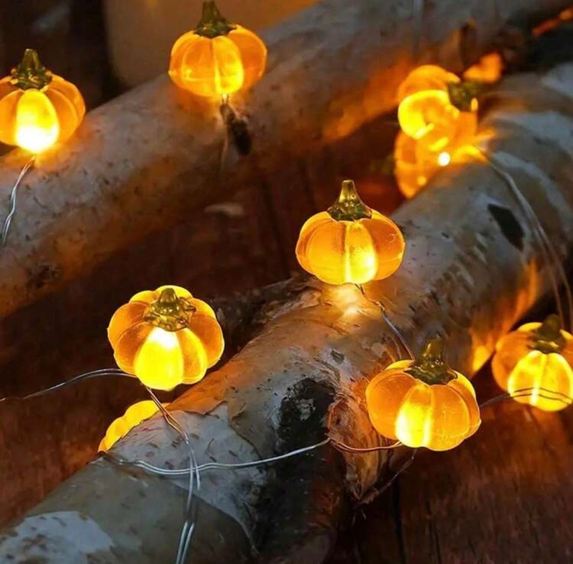 Cadena De Luces, Calabazas