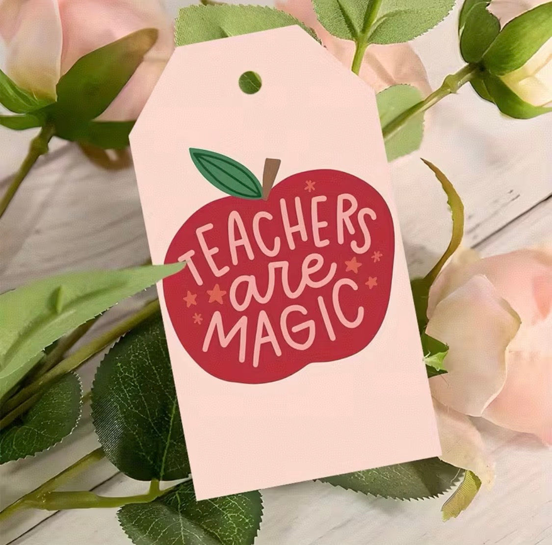 Tags, Teacher